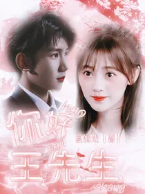 你好王先生