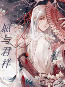 愿与君详