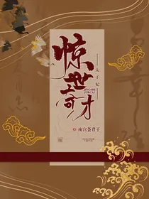 惊世奇才太子妃