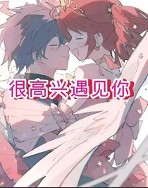 很高兴遇见你（法希）