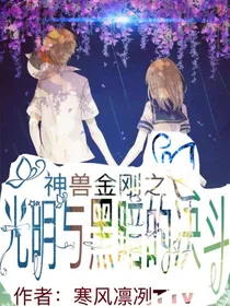 神兽金刚之光明与黑暗的决斗