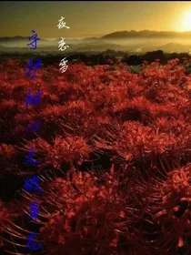 love守护甜心之彼岸花开love
