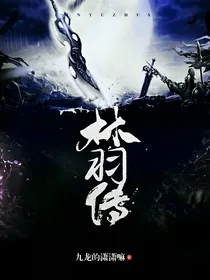 林羽传