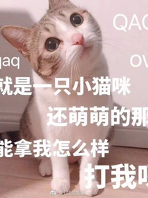 萌学园之斯文教授