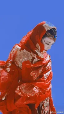 东宫之曲小枫的重生