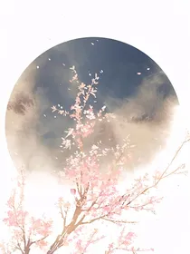 倾城妃传
