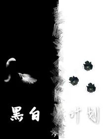 黑白计划