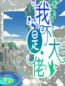 我不是大佬！