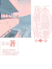 我遇上你不负暖意