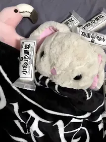 德云社：呆萌女配不想撩
