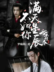 陈情令之满天星辰不如你