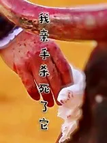 我亲手杀死了它