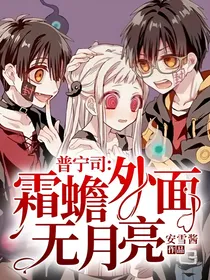 普宁司：霜蟾外面无月亮