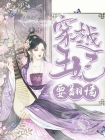 穿越王妃要翻墙