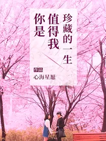 你是值得我珍藏的一生