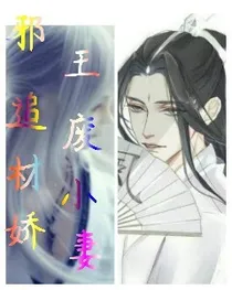 邪王追废材小娇妻