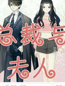总裁与调皮的夫人