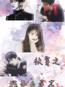 快穿之平行线与相交线