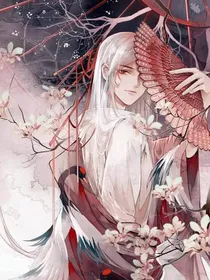 凤凰错：剑影传说