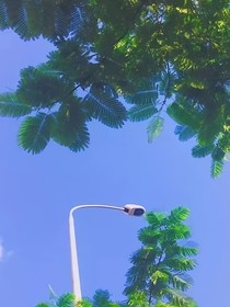 权间囚