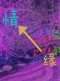 情缘：前缘今生