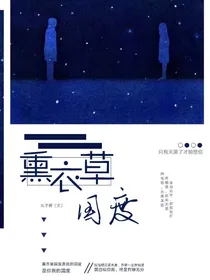 薰衣草国度