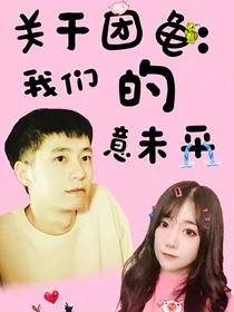 关于团龟：我们的意未平