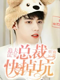 追夫法宝：总裁快掉坑
