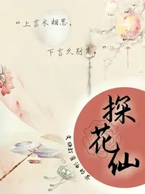 探花仙