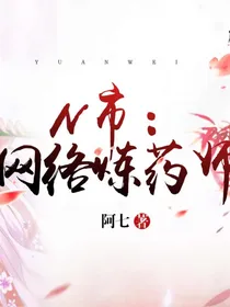 N市：网络炼药师