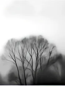 她在那栋红房子