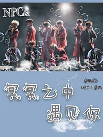 NPC冥冥之中遇见你