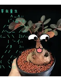 草我的重生