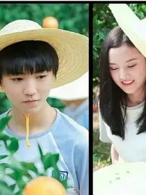 三小只高甜宠妻