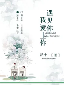 遇见你我爱上你