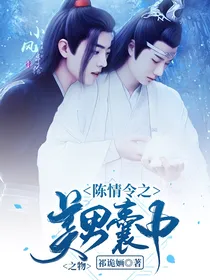 陈情令之美男囊中之物