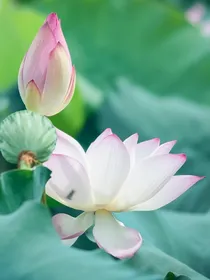 短片小说原创