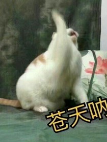 水满城