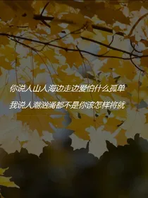 无光，追光，夺光