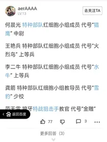火凤凰续