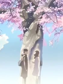樱落的时光