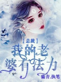 总裁：我的老婆有法力