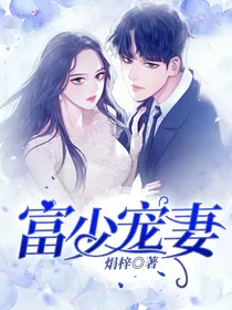 富少宠妻