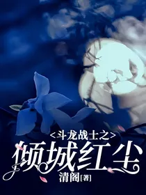 斗龙战士之倾城红尘