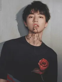 王俊凯，重生后深陷沉迷