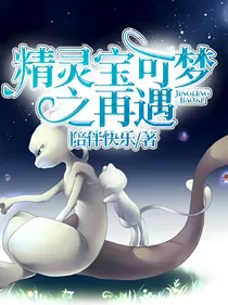 精灵宝可梦之再遇