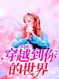 npc穿越到你的世界