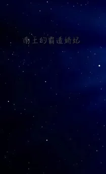 南王的霸道娇妃