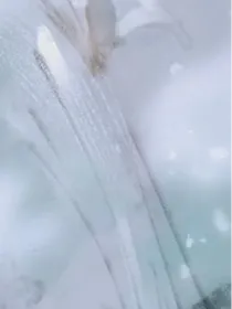 睡前读物