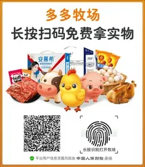 爱情公寓6十年相伴